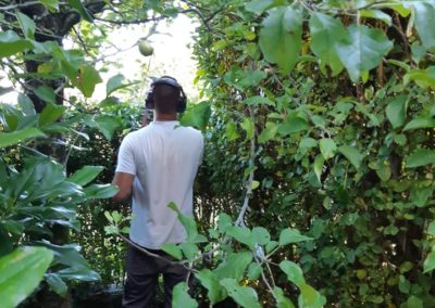 Entretien de jardin sur Elliant et le sud Finistere - Entretien de jardins