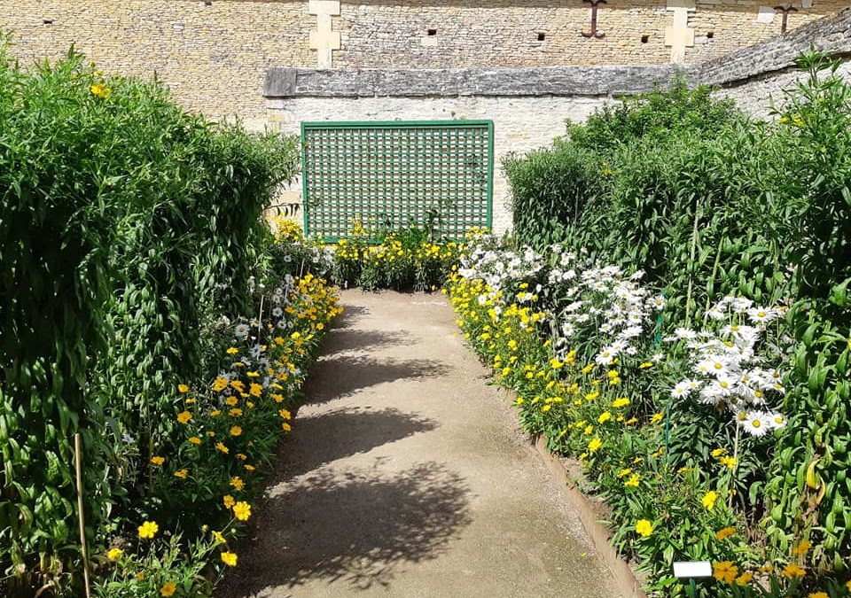 Visite des jardins remarquable de Canon dans le ca…