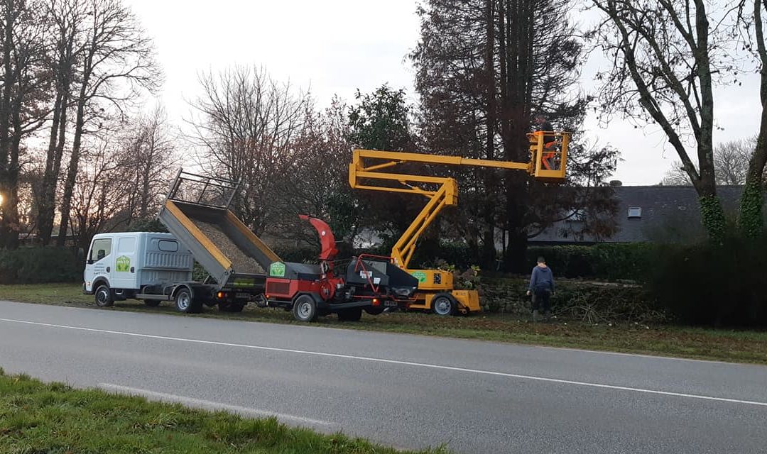 Travaux des tailles  de haies hautes, Élagage et a…