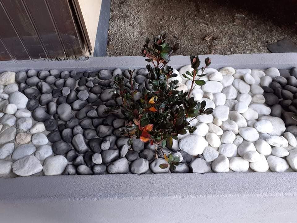 Réalisation de jardinières déco dans une entrée Ré…