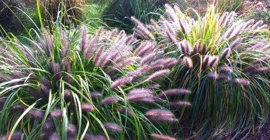 Fonction : paysagiste en aménagement.
Mon jardin t…