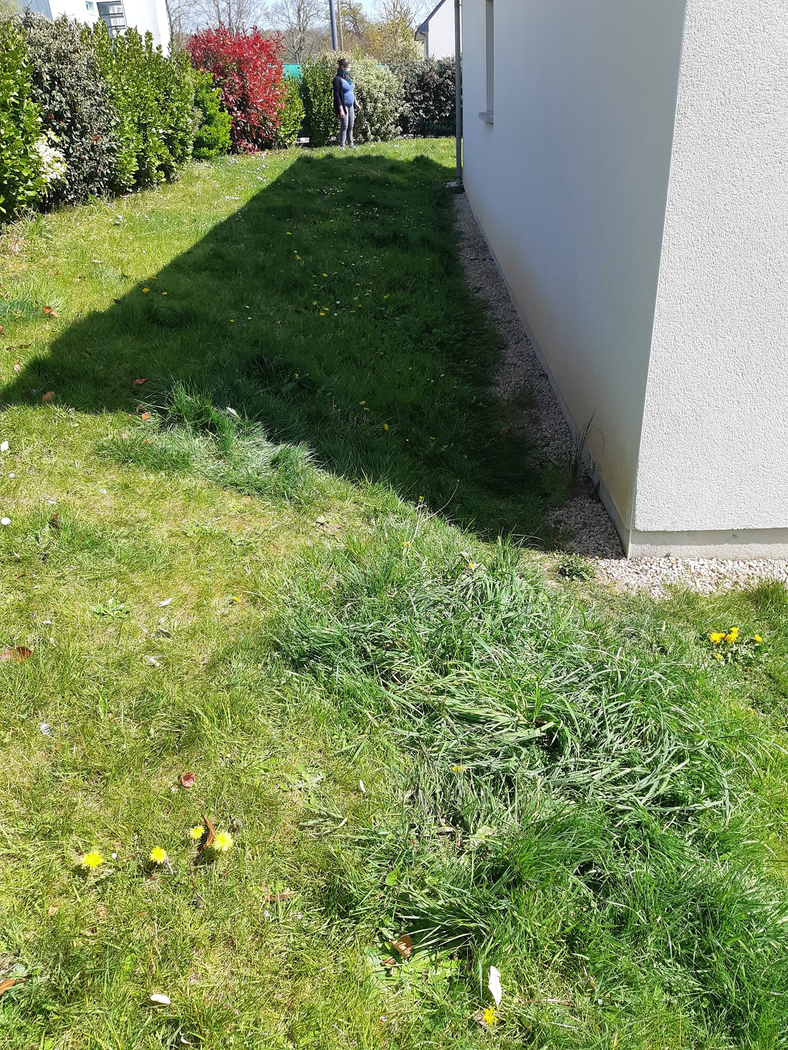 Espace de vie : Terrasse muret cheminement