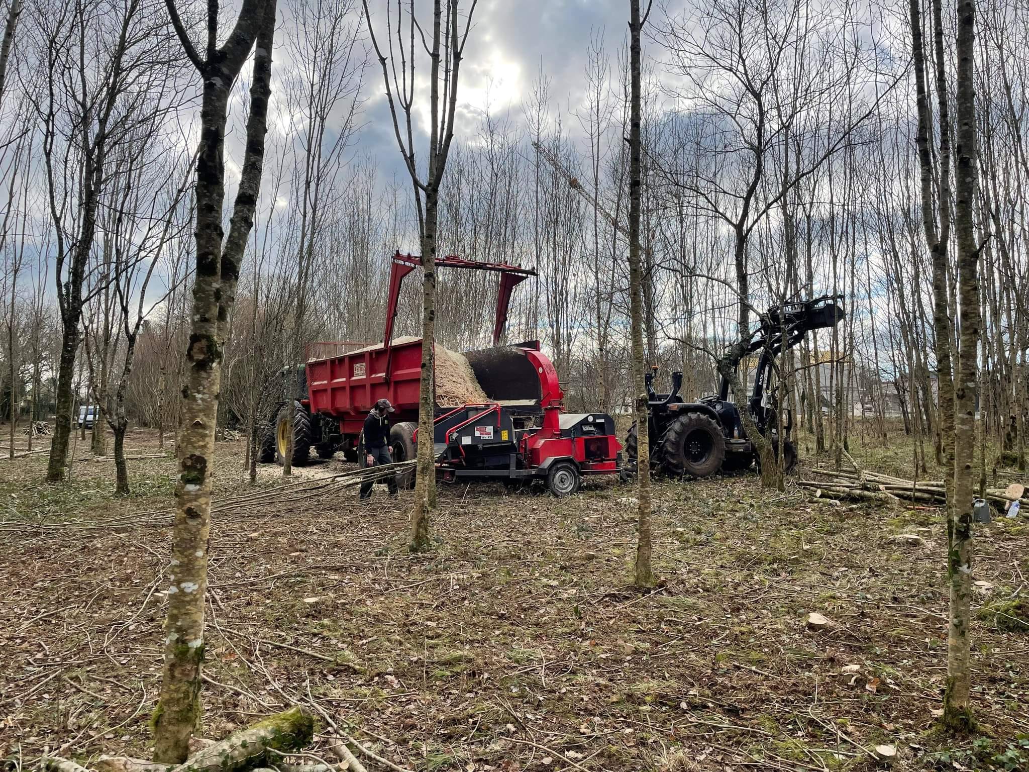 Elagage raisonné préserver la biodiversité et fav…