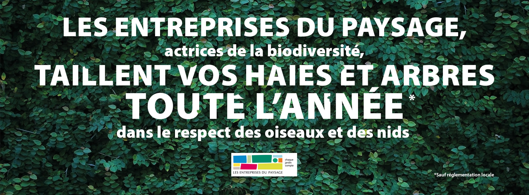 Unep – Bretagne
 #tailledehaie #elagage