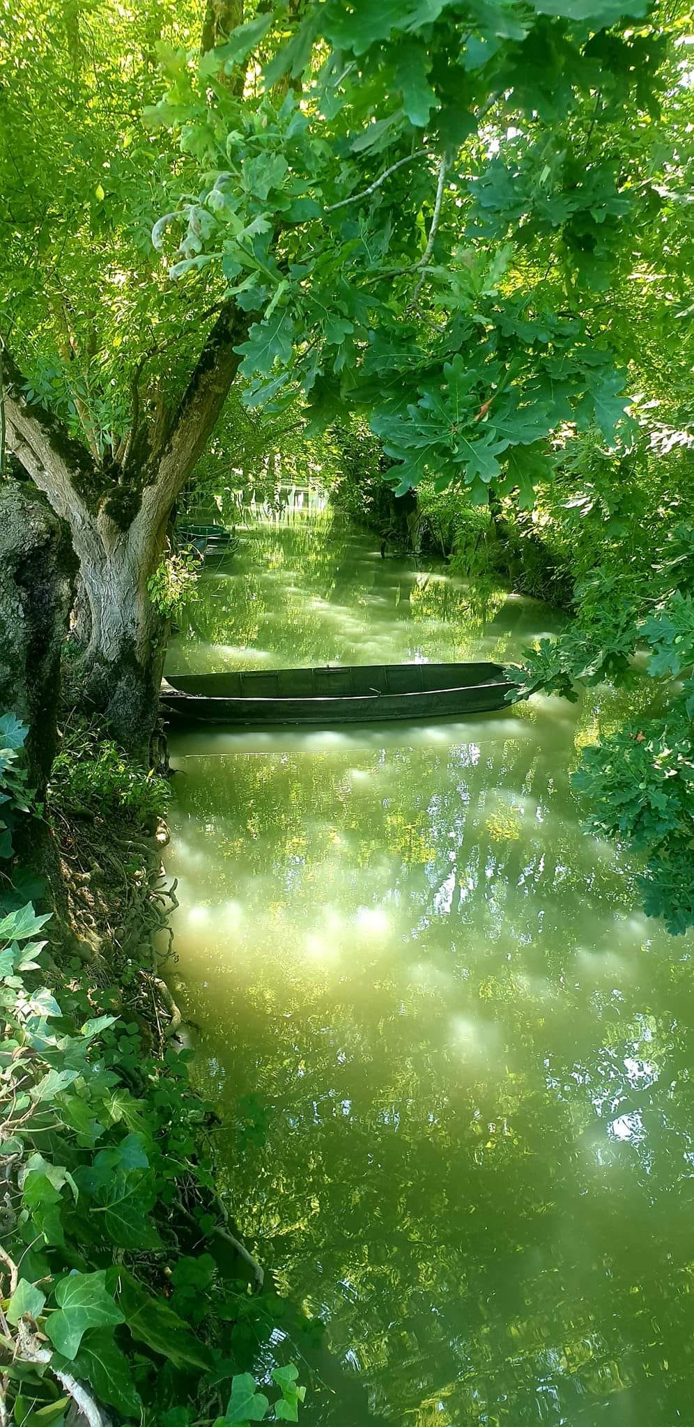 Calme et sérénité.. les couleurs de l’été enfin !