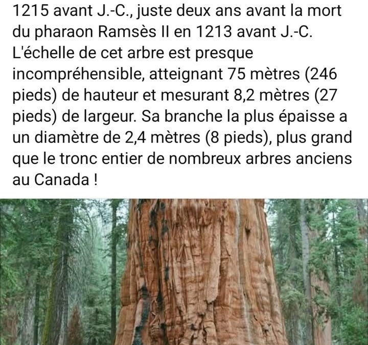 Pédagogie/ Découverte…