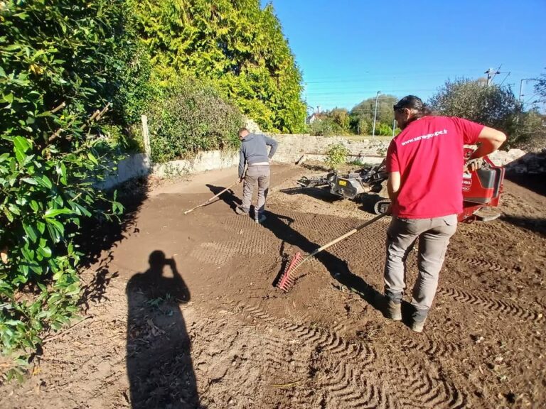 Retrospective gazon 2025 Les meilleurs periodes pour semer du gazon 1 1275363491063195 – Rosporden Finistère