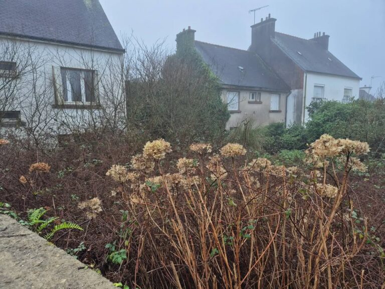 Debroussailler et nettoyer pour lutter contre les nuisibles 1 1349680950298115 – Rosporden Finistère Debroussailler et nettoyer pour lutter contre les nuisibles 1 1349680950298115 – Rosporden Finistère