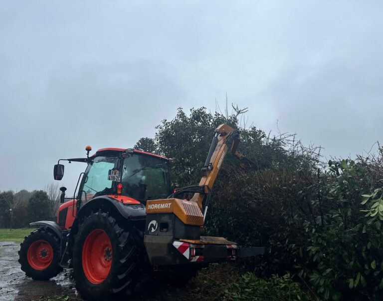 Quel est le meilleur mois pour tailler les haies 1 1360066635926213 – Rosporden Finistère Quel est le meilleur mois pour tailler les haies 1 1360066635926213 – Rosporden Finistère