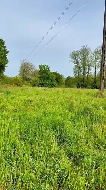 Chantier du jour Broyage terrain Herbe haute terrain inaccessible 1 1413993923866817 – Rosporden Finistère Chantier du jour Broyage terrain Herbe haute terrain inaccessible 1 1413993923866817 – Rosporden Finistère